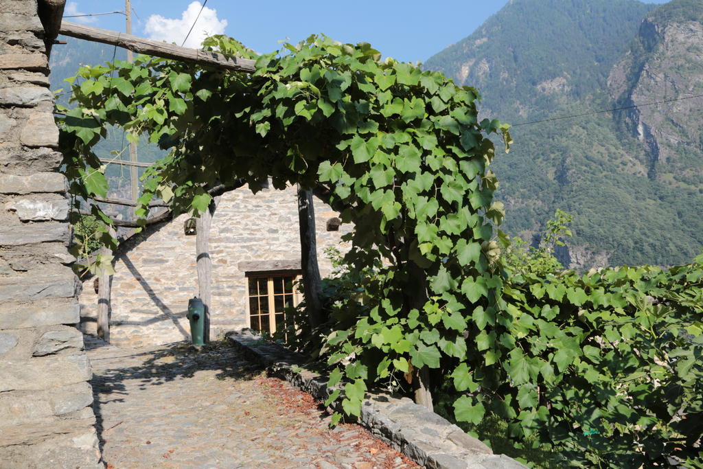 Rustico Apartment Verdabbio Exterior photo